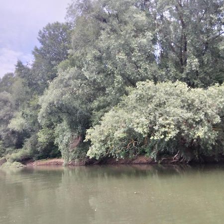 Hotel Casutele Deltei Mahmudia Zewnętrze zdjęcie